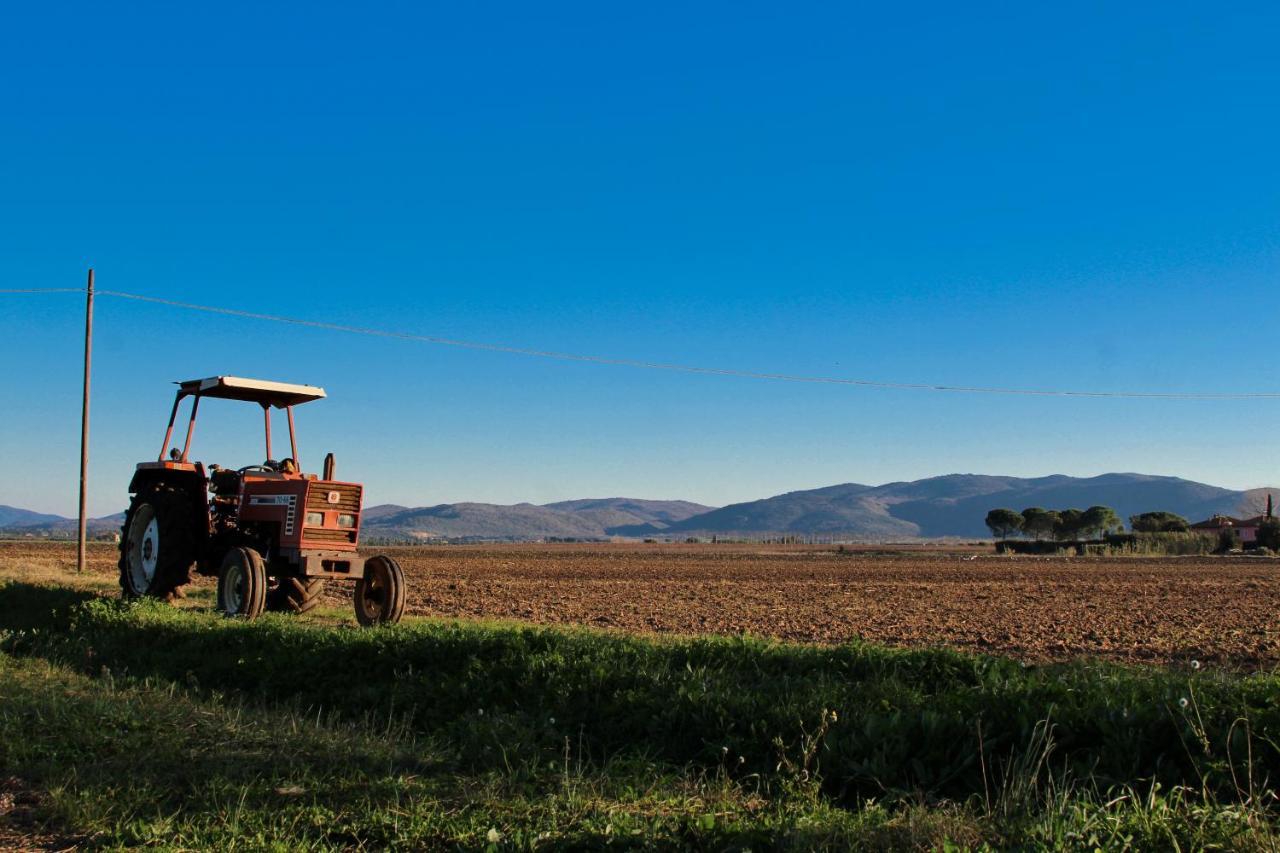 Agriturismo Poderedodici Orbetello Exterior photo